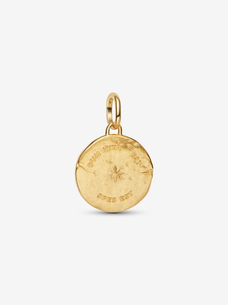 Swallow Medallion Charm