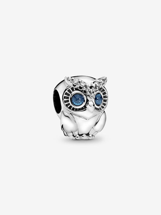 Sparkling Owl Charm