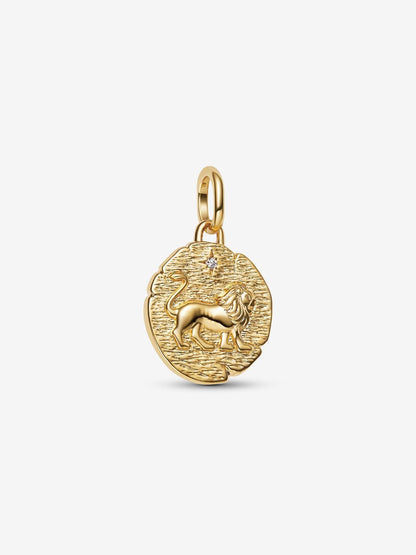 Lion Medallion Charm
14k gold plating