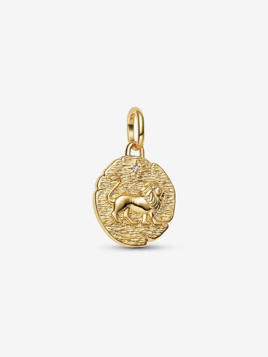 Lion Medallion Charm
14k gold plating