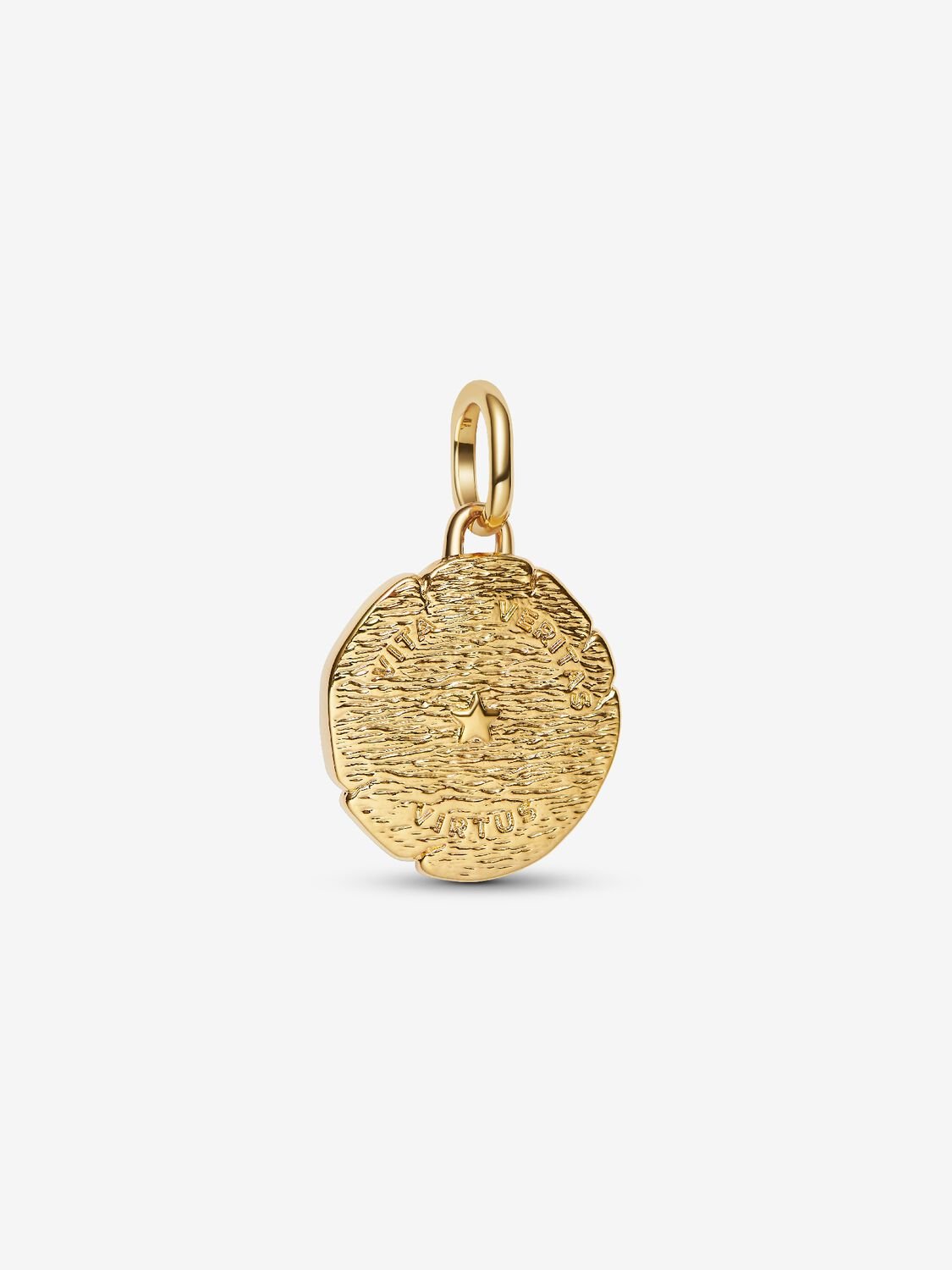 Lion Medallion Charm
14k gold plating