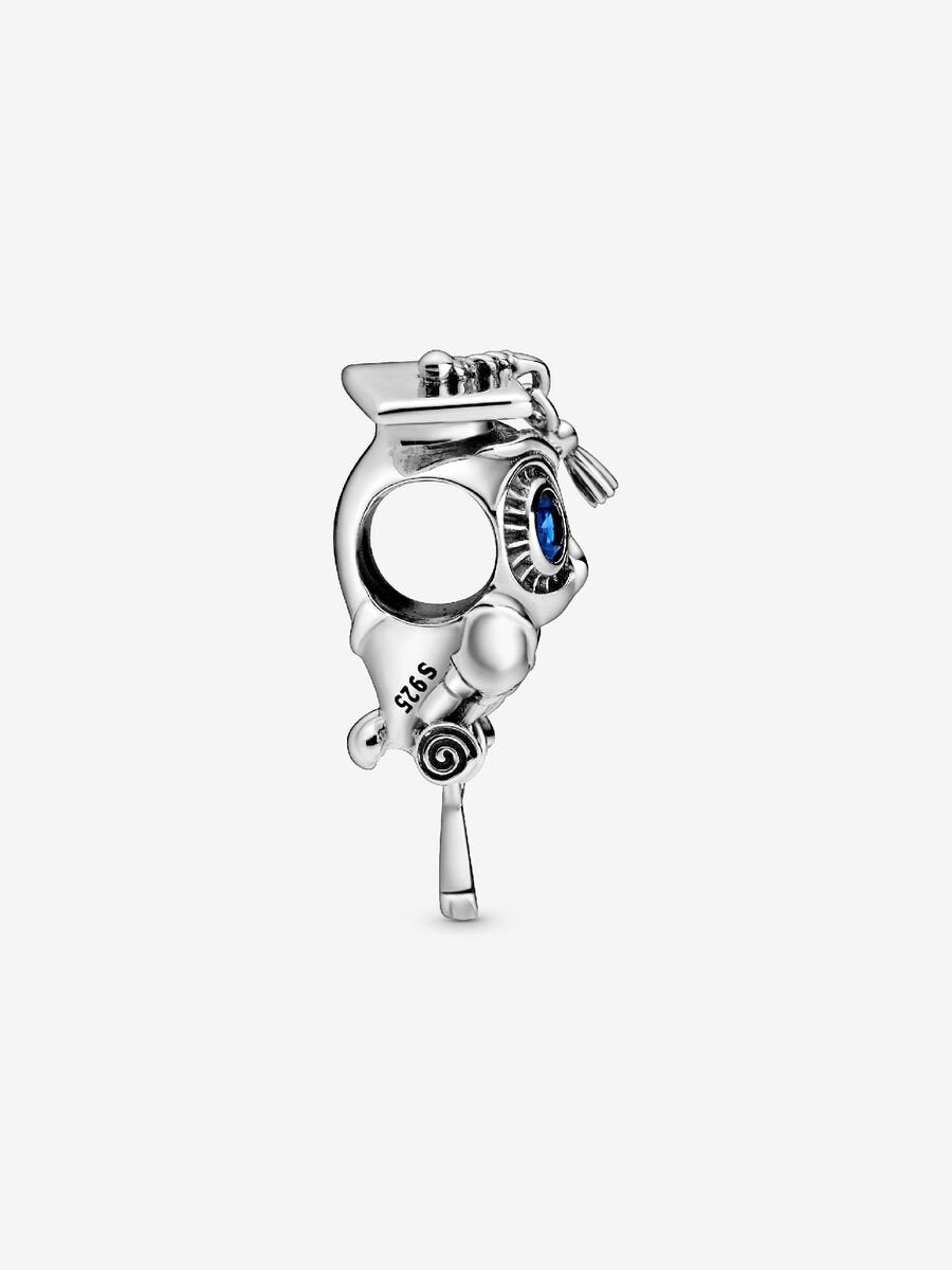 Wise Owl Graduation Charm
