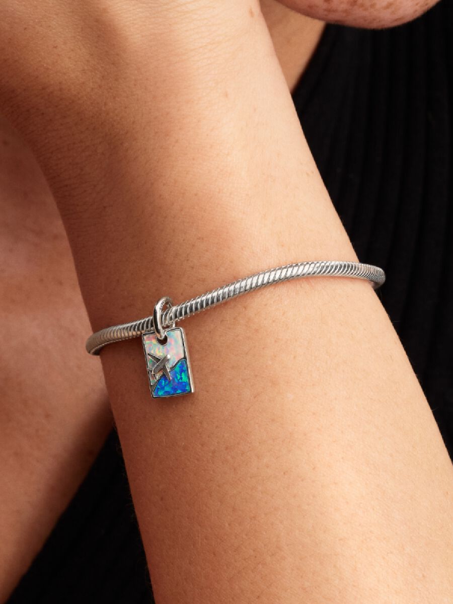 Travel Dangle Charm